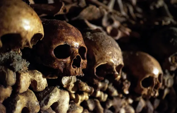 Picture bones, skull, catacombs
