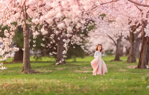 Spring, girl, flowering, Cherry blossoms