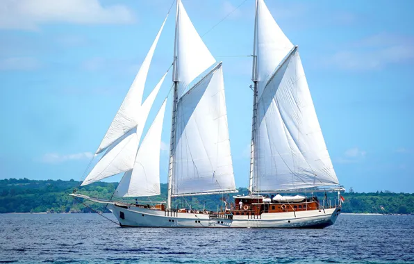 Ship, sailing ship, yacht sailing in Asia