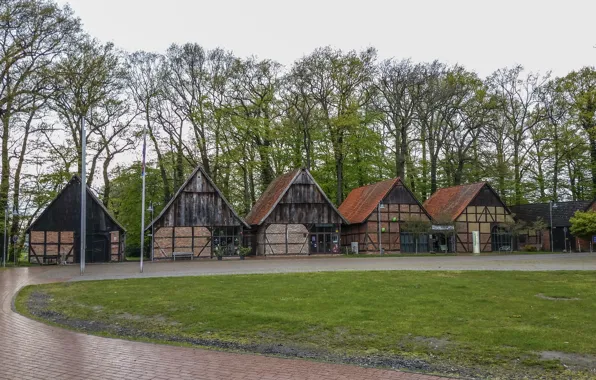 Autumn, Park, rain, overcast, Germany, rain, Germany, park