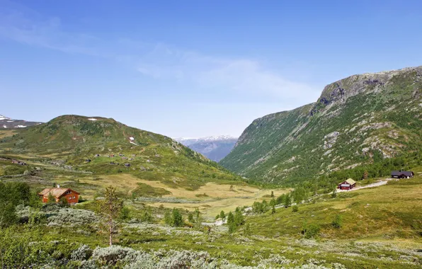 Field, the sky, the sun, trees, mountains, nature, valley, meadow