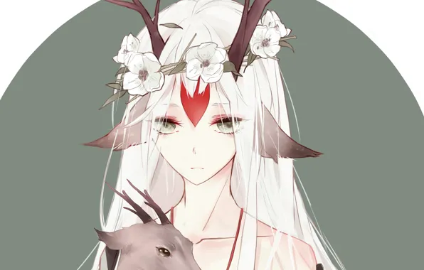 Fawn, Deer, Shishio, Onmyouji, Onmyoji, Onmyouji (NetEase)