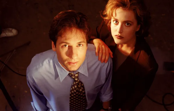 Picture the series, The X-Files, David Duchovny, Classified material, Gillian Anderson, Scully, Mulder