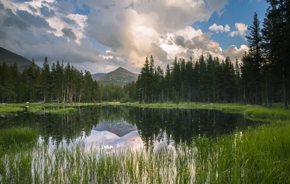 Forest, mountains, lake, reflection, calm, CA, USA