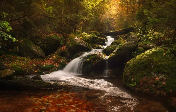 Autumn, forest, stream, stones, moss, Czech Republic, river, cascade