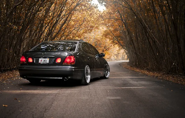 Road, autumn, trees, lexus, ass, gs300