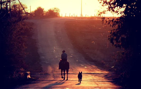 Picture road, sunset, horse, dog