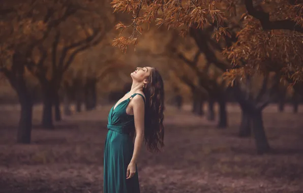 Girl, trees, nature, dress, bending