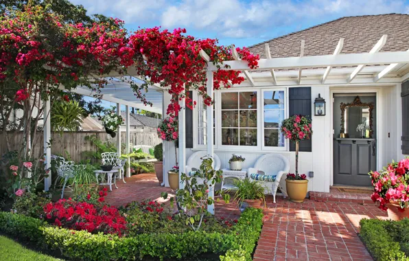 Picture grass, flowers, house, swing, lawn, chairs, garden, bougainvillea