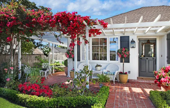 Grass, flowers, house, swing, lawn, chairs, garden, bougainvillea