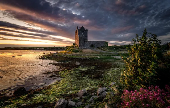 Sunset, Ireland, Galway, Dunguaire, Dunguaire Castle