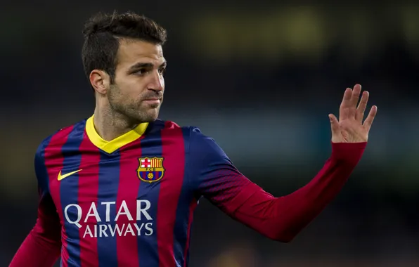 Sport, Football, Nike, Barcelona, Fabregas, Fabregas, Football, Spain