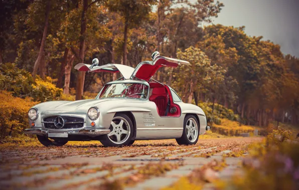 Mercedes-Benz, 1954, AMG, 300, Gullwing