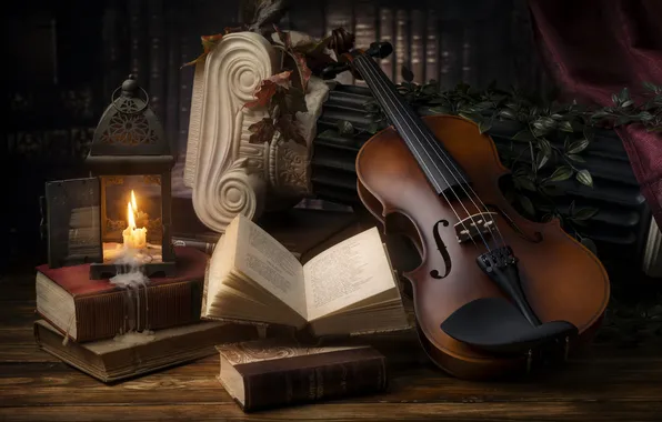 Music, violin, book, still life