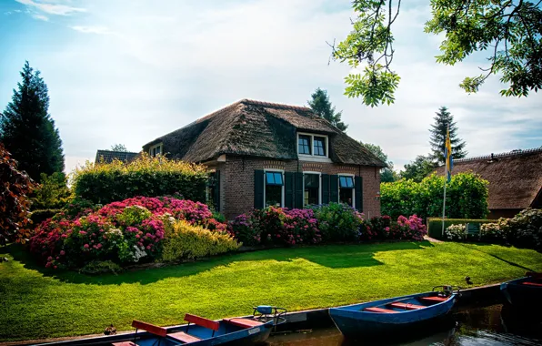 Greens, the sky, grass, the sun, trees, flowers, lawn, boat