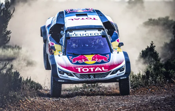 Auto, Machine, Peugeot, Lights, Red Bull, Rally, Dakar, Dakar