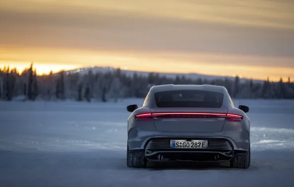 Field, snow, grey, Porsche, back, 2020, Taycan, Taycan 4S