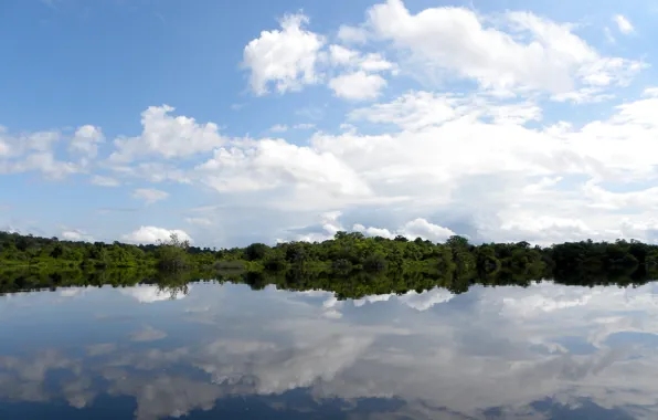 Clouds, Sky, River, Trees, Amazon