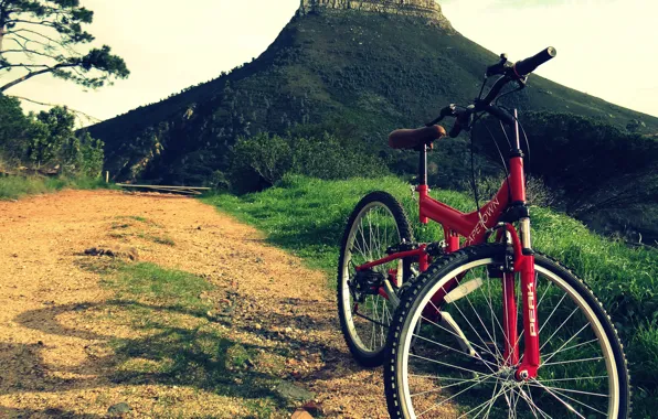 Picture road, mountains, bike, sport, mountain bike full suspension vs hardtail