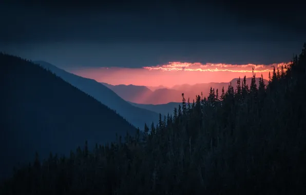 Picture forest, the sky, clouds, trees, sunset, mountains, nature, the evening