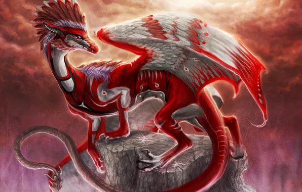 White, red, dragon, stump, feathers, art
