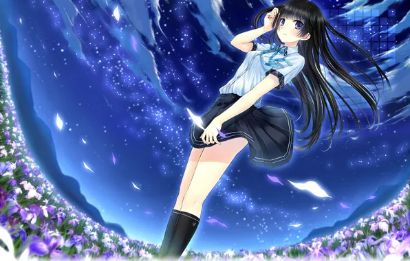 Picture field, the sky, girl, stars, the wind, anime, petals, art