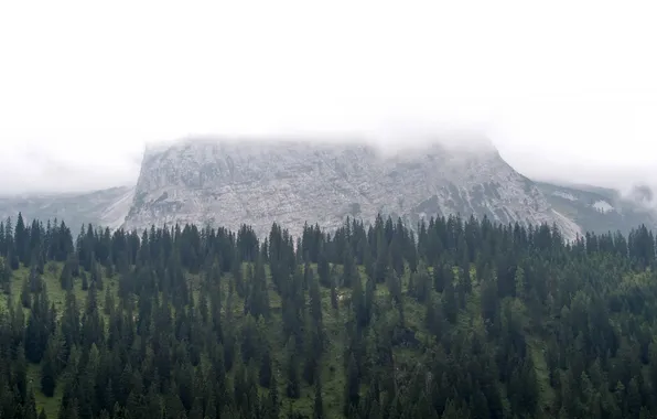 Clouds, mountains, Austria, pine, Bichlbach