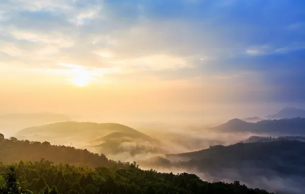 Landscape, nature, fog, morning
