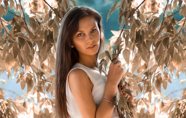 Picture summer, look, leaves, girl, branches, face, model, portrait