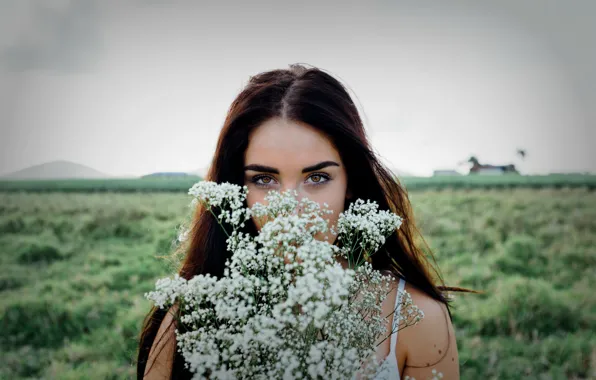 Picture field, eyes, flowers, face, look, beautiful girl