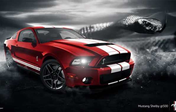 Picture Mustang, Ford, Shelby, GT500, Muscle, Red, Car, Snake