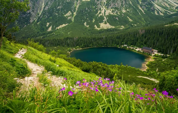 Picture landscape, nature, beauty