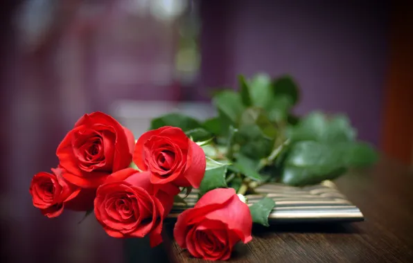 Flowers, roses, bouquet