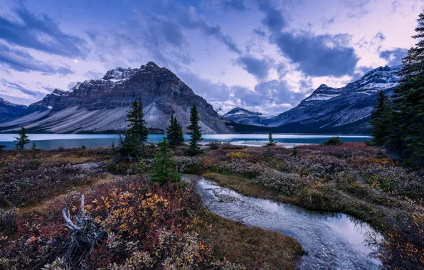Picture grass, trees, mountains, lake, stream, the evening, Banff National Park, Alberta