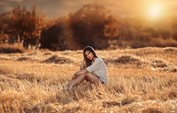 Picture field, forest, look, girl, the sun, trees, pose, makeup