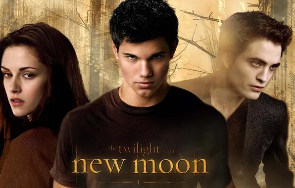 Picture the film, Twilight, new moon