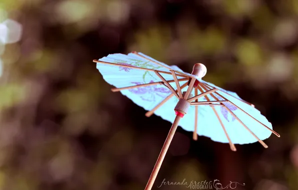 Picture macro, umbrella, background, blue, Wallpaper, umbrella, wallpapers