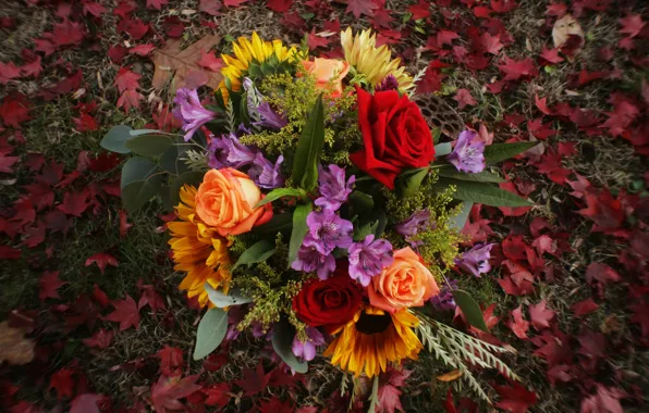 Picture leaves, sunflowers, roses, bouquet, fallen leaves
