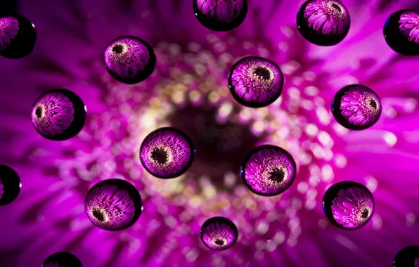 Picture flower, drops, balls, macro, pink
