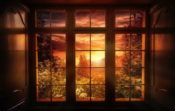 Picture sunset, nature, treatment, window, Good night