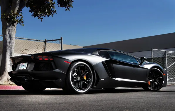 Black, lambo, aventador