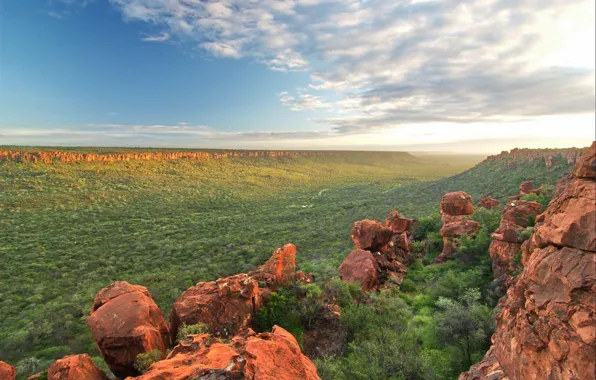 Vegetation, valley, Namibia, plateau, Etosha national Park