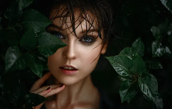 Look, leaves, close-up, face, George Chernyadev, Olga Pushkina, Georgy Chernyadyev, Olya Pushkina