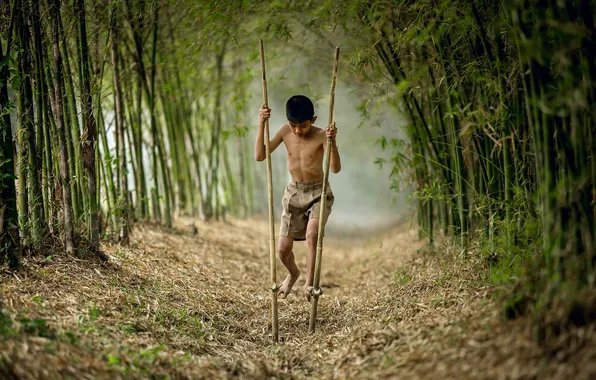 Nature, Thailand, Man, People