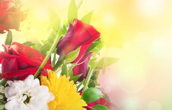 Picture flowers, roses, spring, March 8