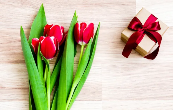 Flowers, tulips, red, love, romantic, tulips, gift, red tulips