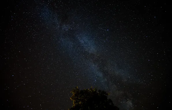 Stars, night, the milky way