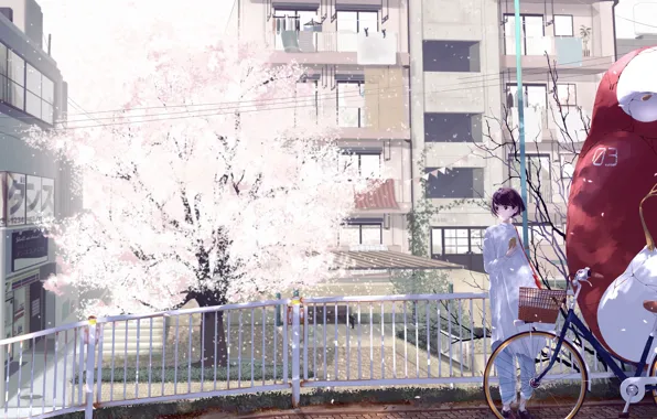 Picture Sakura, girl, tree, form, the city, anime, home, art