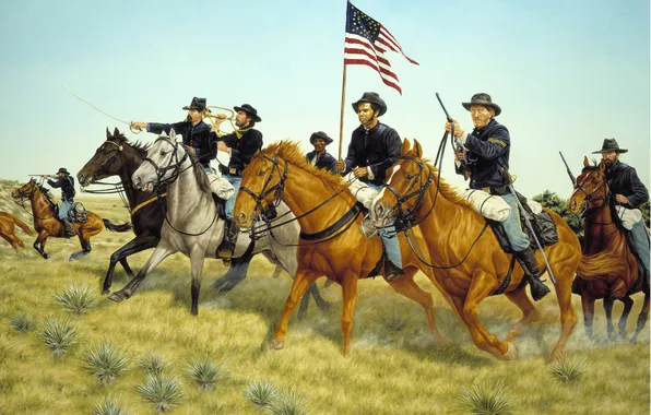 Picture grass, weapons, flag, horse, soldiers, America