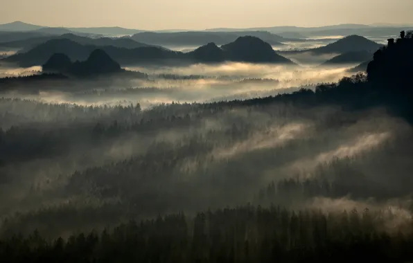 Forest, light, mountains, fog, hills, view, height, dal